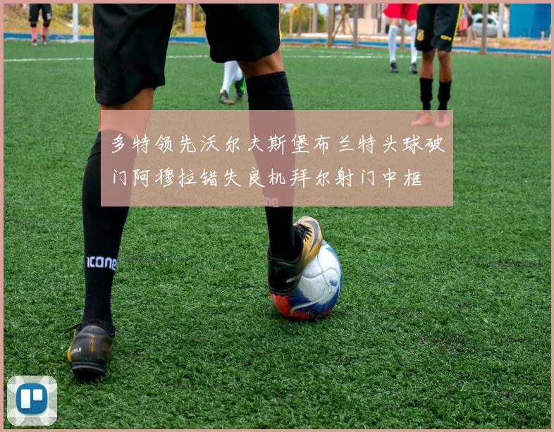 多特领先沃尔夫斯堡布兰特头球破门阿穆拉错失良机拜尔射门中框