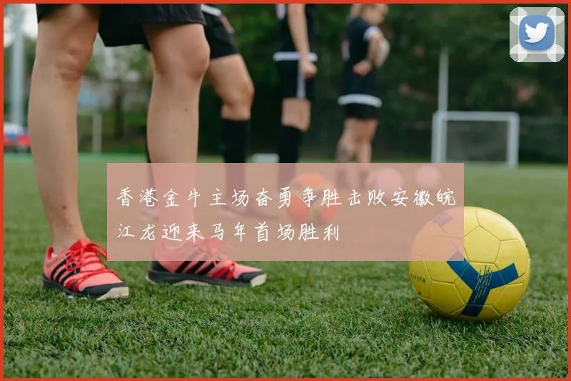 香港金牛主场奋勇争胜击败安徽皖江龙迎来马年首场胜利
