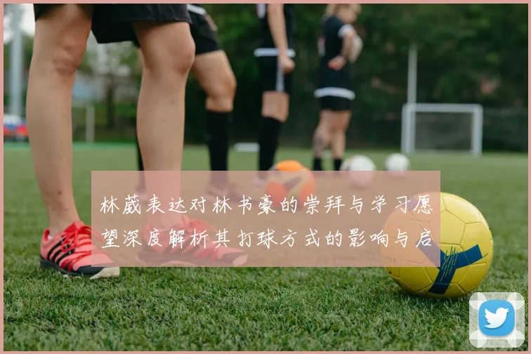林葳表达对林书豪的崇拜与学习愿望深度解析其打球方式的影响与启发